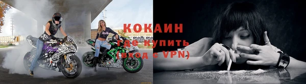 ГАЛЛЮЦИНОГЕННЫЕ ГРИБЫ Снежногорск