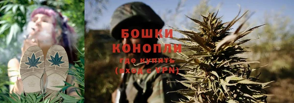 дживик Слюдянка