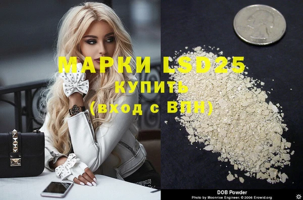 дживик Слюдянка