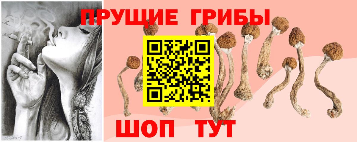 Псилоцибиновые грибы MAGIC MUSHROOMS Анапа