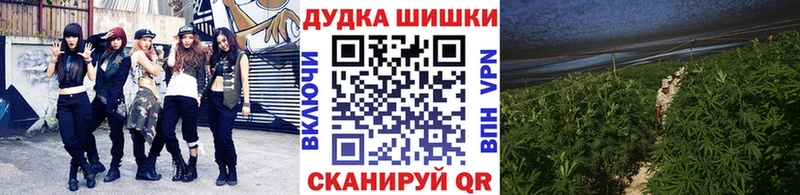 Конопля ГИДРОПОН  даркнет телеграм  Анапа 